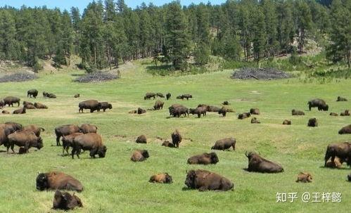 内布拉斯加,美国中西部的心脏地带  第3张