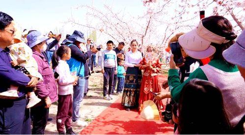 爱在拜城,探寻新疆古城的浪漫足迹  第3张