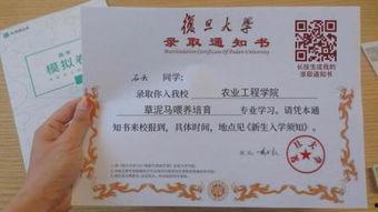 录取通知,梦想起航，开启人生新篇章