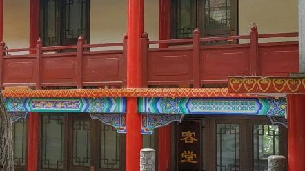 平凡巷里白月光,一段温馨的邻里情缘