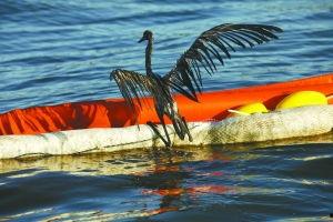 巴拉塔里亚,探寻古老文明的神秘足迹 第2张 巴拉塔里亚,探寻古老文明的神秘足迹 第2张