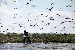 巴拉塔里亚,探寻古老文明的神秘足迹 第3张 巴拉塔里亚,探寻古老文明的神秘足迹 第3张