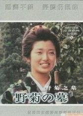 野菊之墓,缅怀与传承的哀歌  第1张