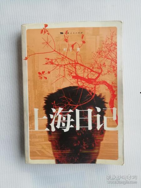 上海日记,记录繁华都市的点点滴滴  第1张